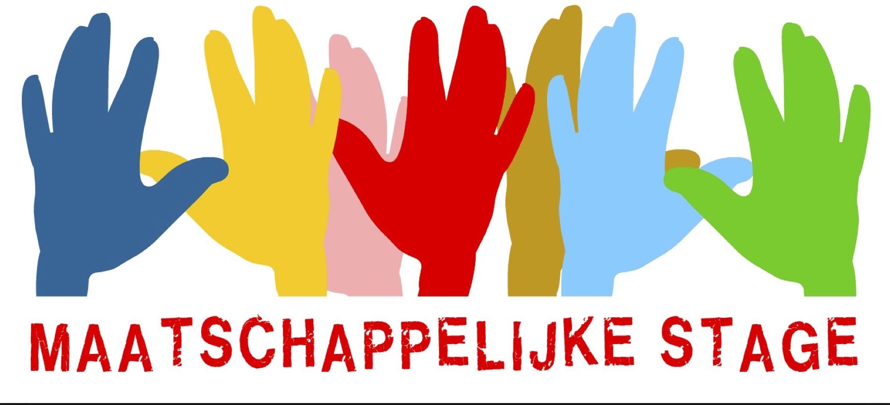 maatschappelijke stage